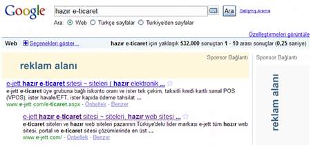 Google da örnek bir arama
